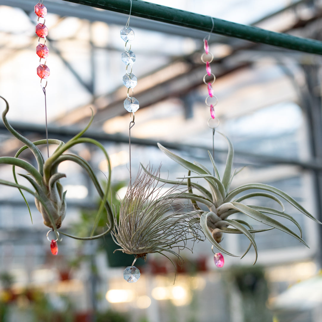 Hanging Airplant Charm
