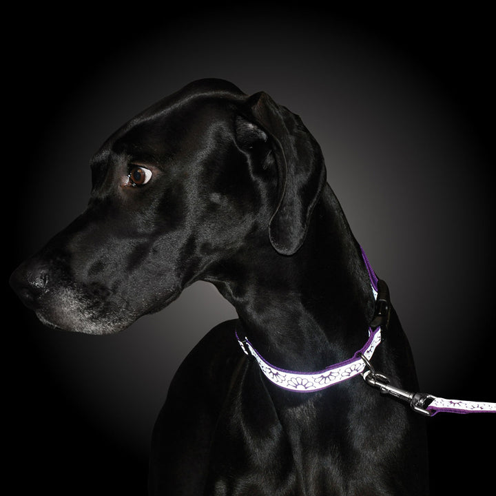 3/8" Reflective Leash