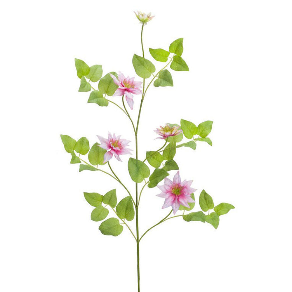 Melrose, Clematis Vine, Pink, 30"