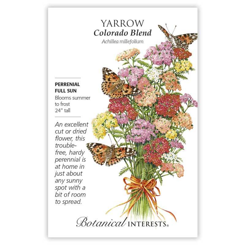 Yarrow, Botanical Interests Colorado Blend Seeds