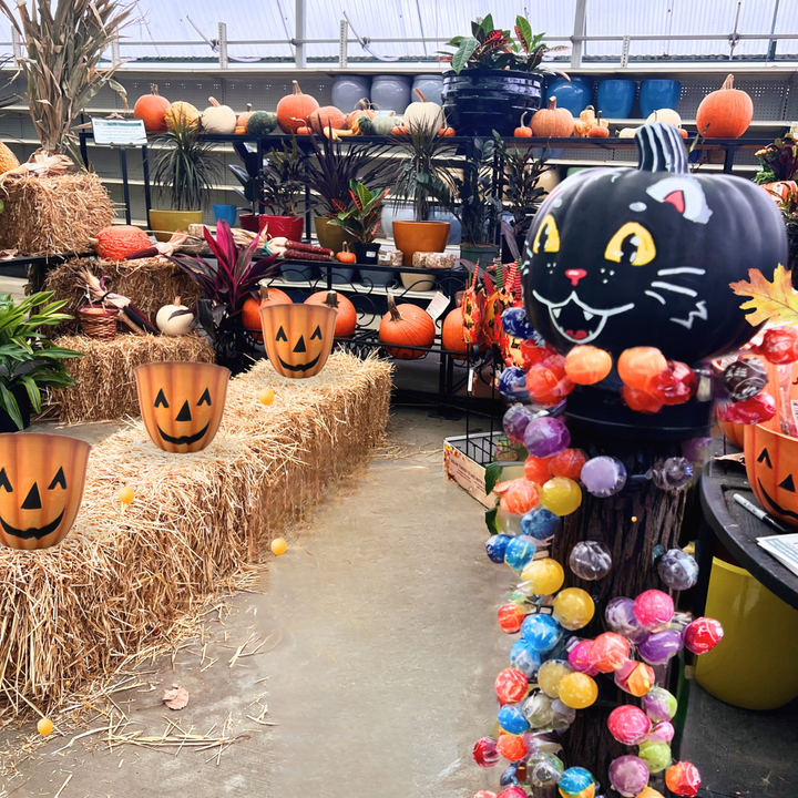 Kids Fall Craft Pass - Fall Family Day September 27th
