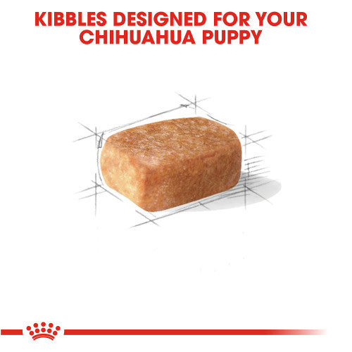 Royal Canin Chihuahua Puppy Dry Dog Food, 2 lb.