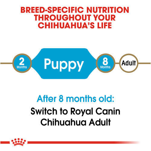Royal Canin Chihuahua Puppy Dry Dog Food, 2 lb.