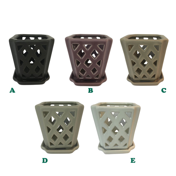 Border Concepts Mini Diamond Orchid Pot w/ Attached Saucer, Matte Finish, 3.5-Inch (Colors Vary)