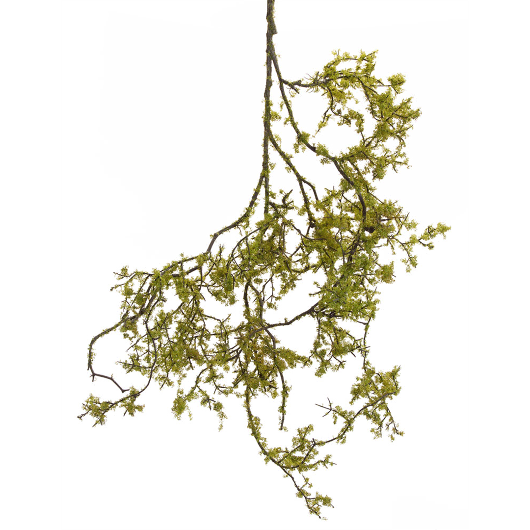 Lichen Garland, 23 in.
