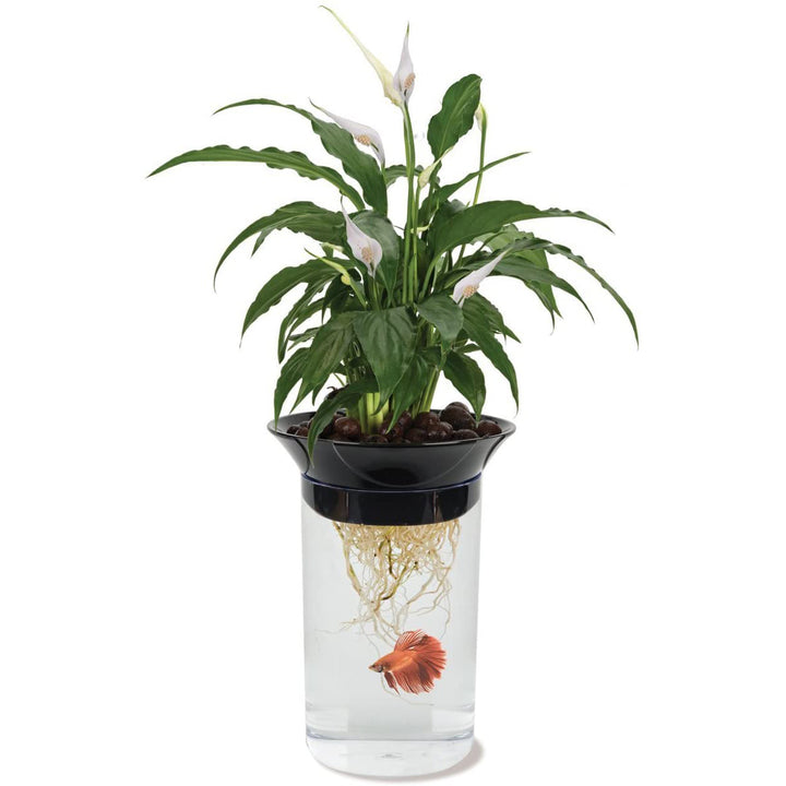 Aqua-Ponic Planter & Betta Fish Habitat, 2 Liter Tank