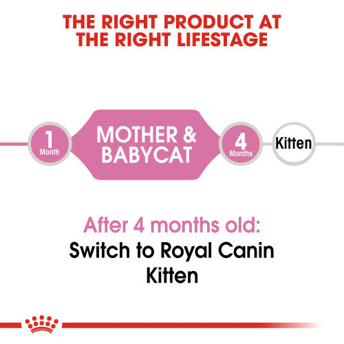 Royal Canin Mother & Babycat Dry Cat Food, 3.5 lb.