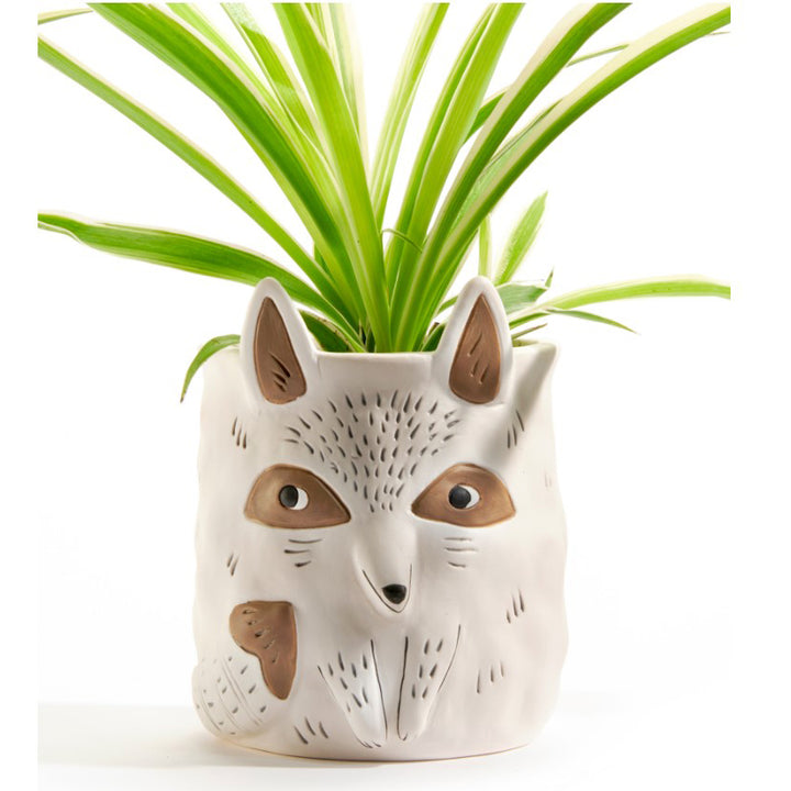 Giftcraft- Raccoon Planter