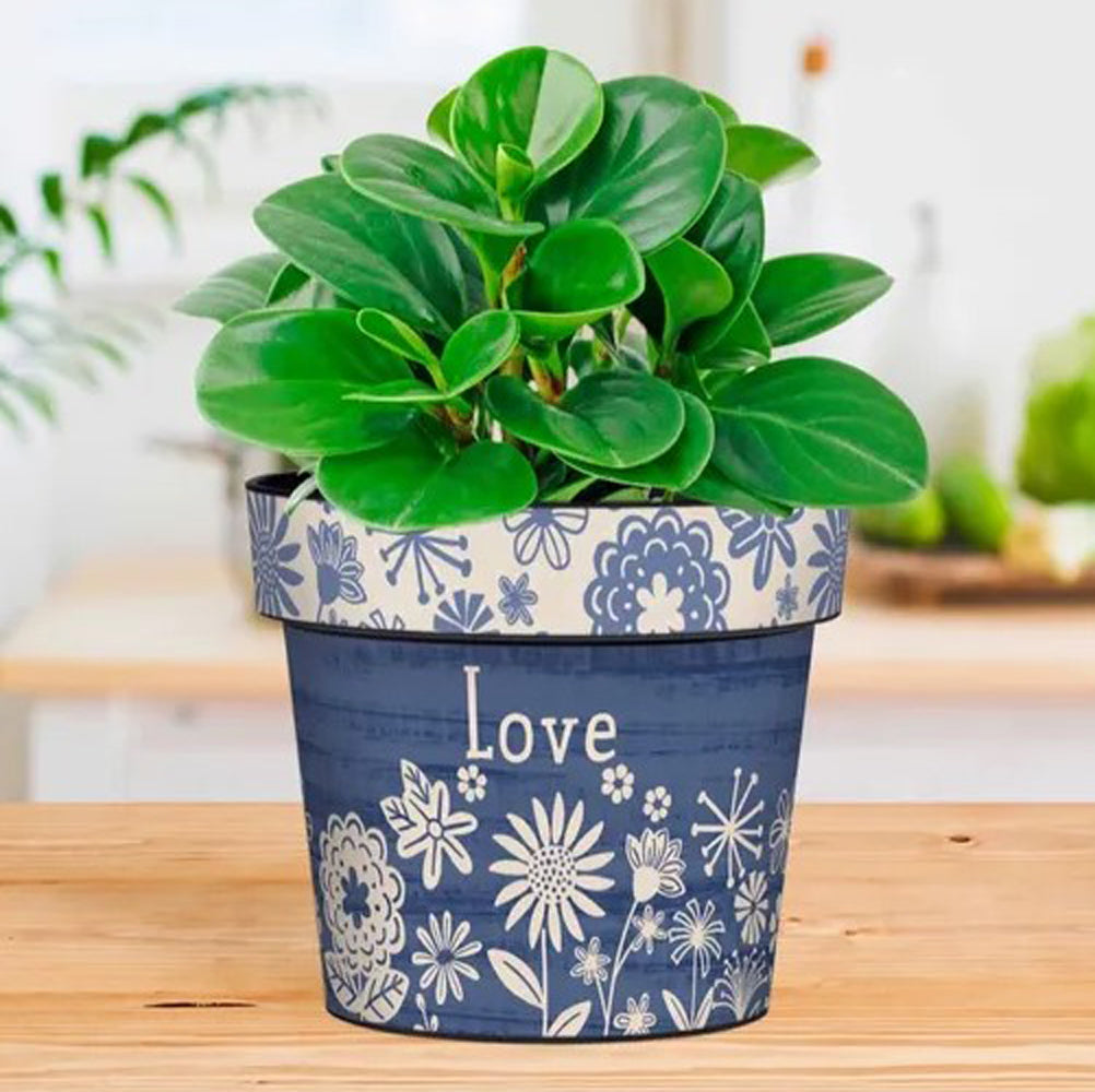 Studio M, Denim Garden Art Pot, 6"