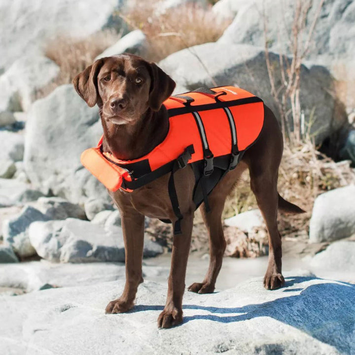 Zippy Paws, Life Jacket