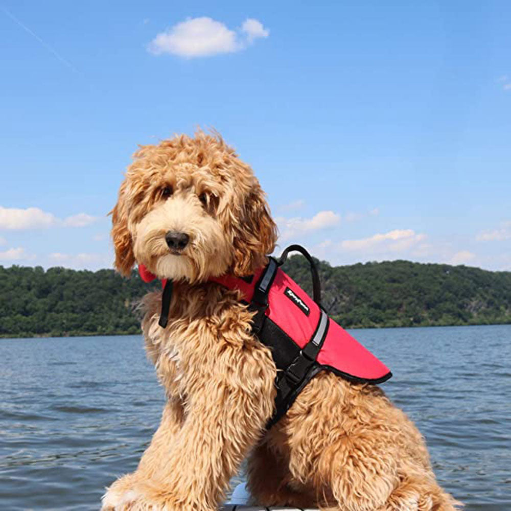 Zippy Paws, Life Jacket