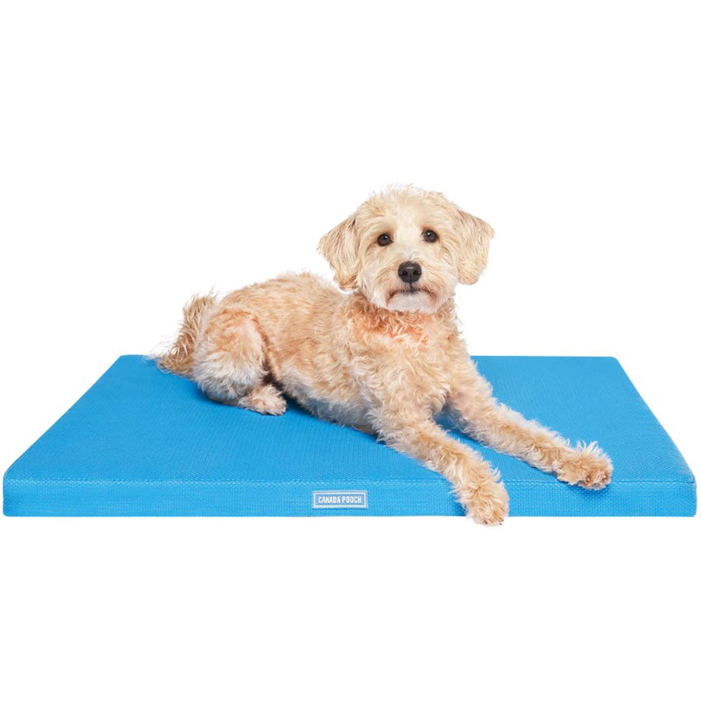 Canada Pooch, Chill Out Cooling Mat, Blue