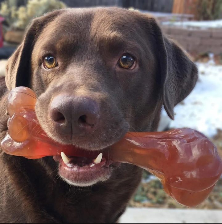 Tex's Smoke'n'Chews, Premium Ham Bone Chew