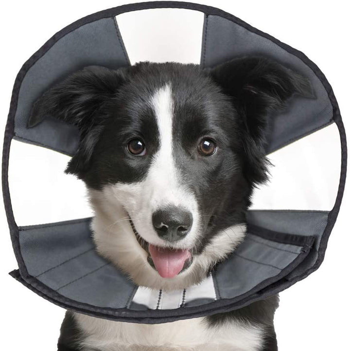 ZenPet, E-Collars Soft Recovery