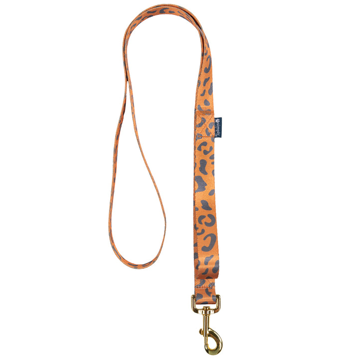 Simply Southern, Pet Leashes, Assorted and Sold Separately