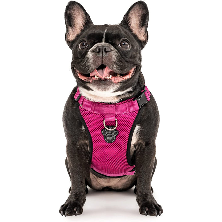 Canada Pooch, Everything Mesh Harness, Medium, Pink