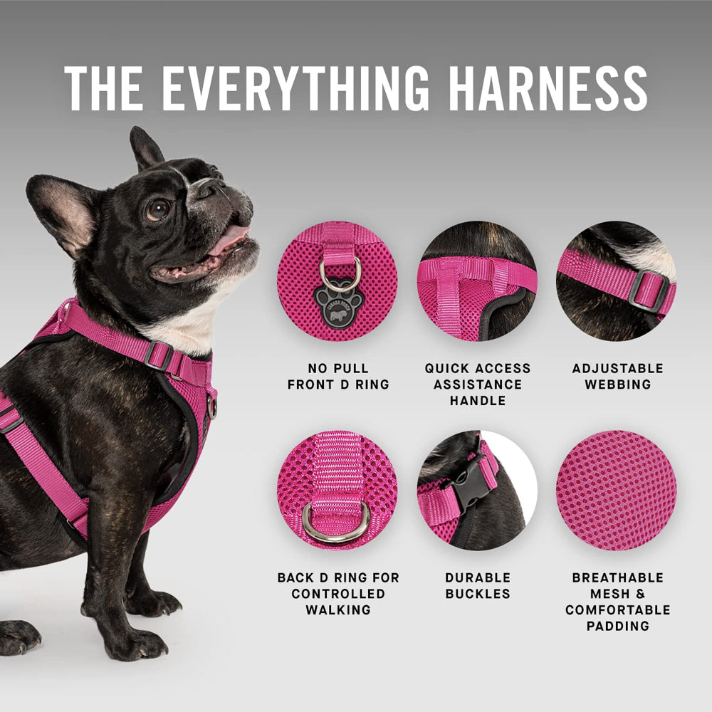 Canada Pooch, Everything Mesh Harness, Medium, Pink