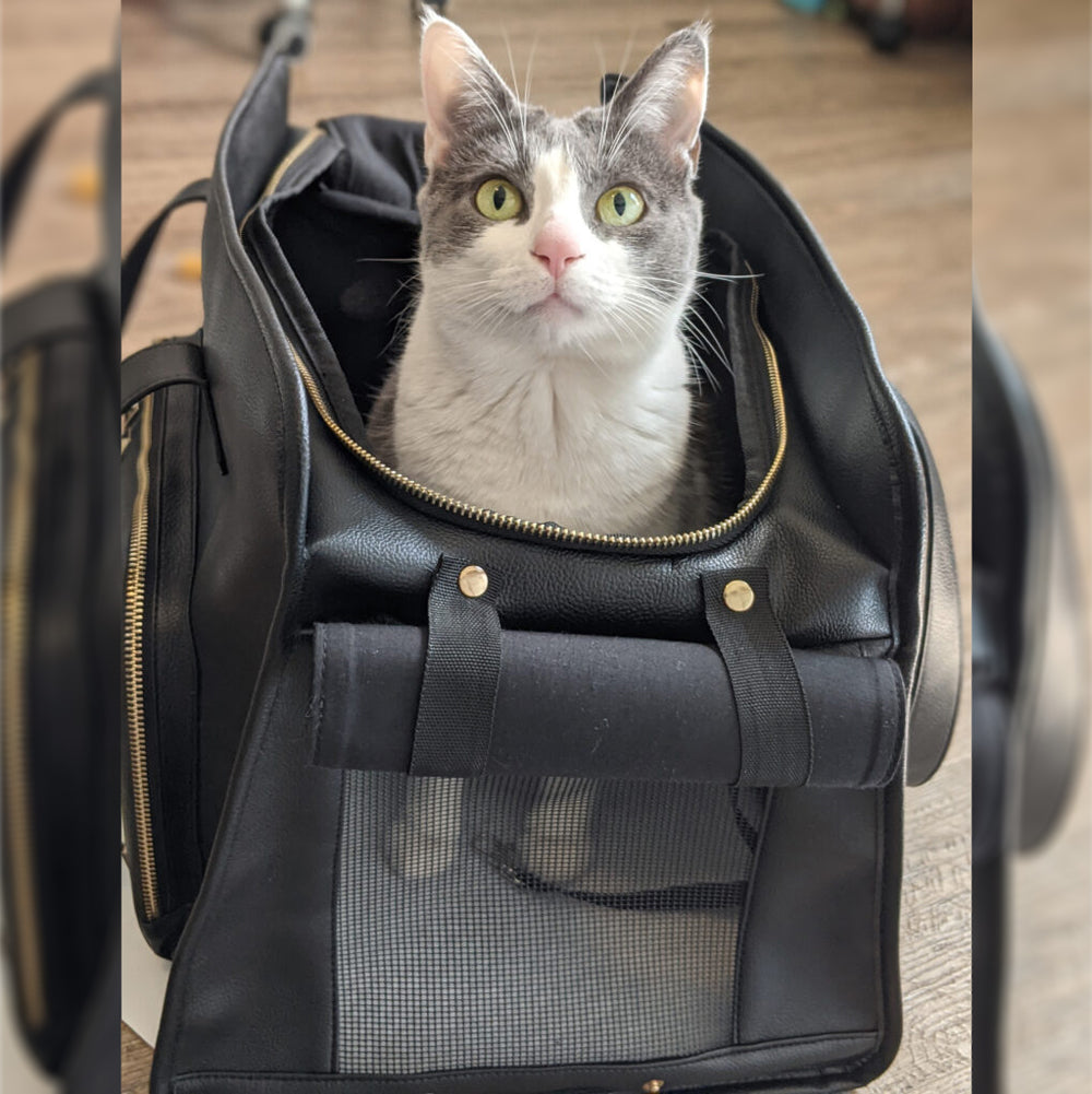 Cosmo, Faux Leather Carrier, 17"