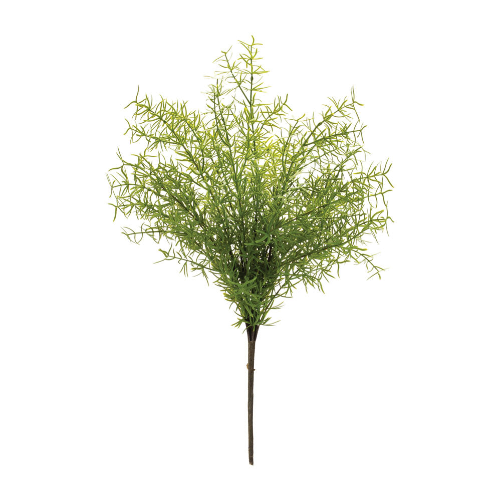 Melrose International, Asparagus Fern Bush, 18.5"