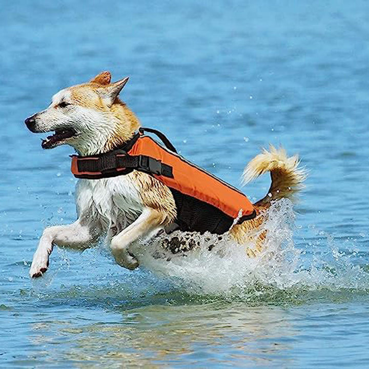 Ethical Pet, Life Vest, Orange