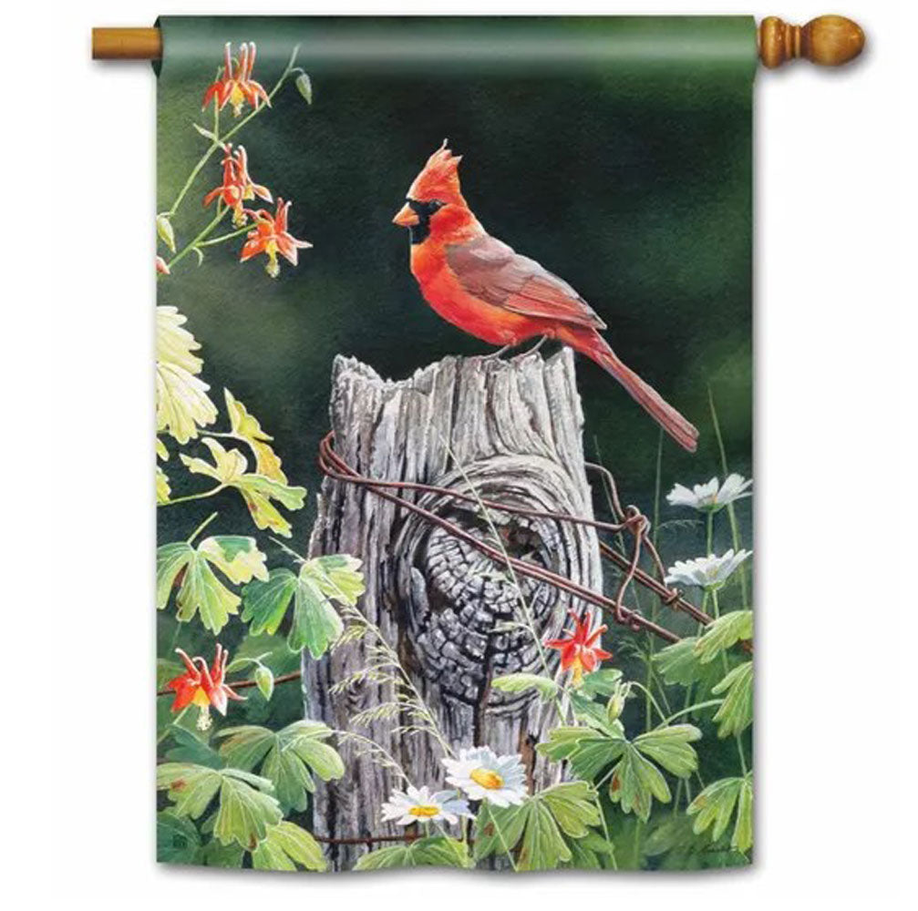 Studio M, Cardinal Song Flag