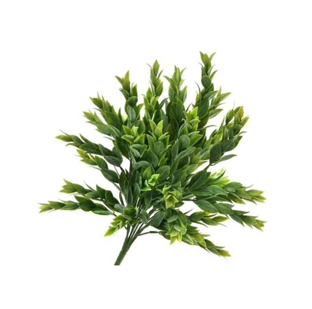 Regency, Ruscus Bush, X7, 15"