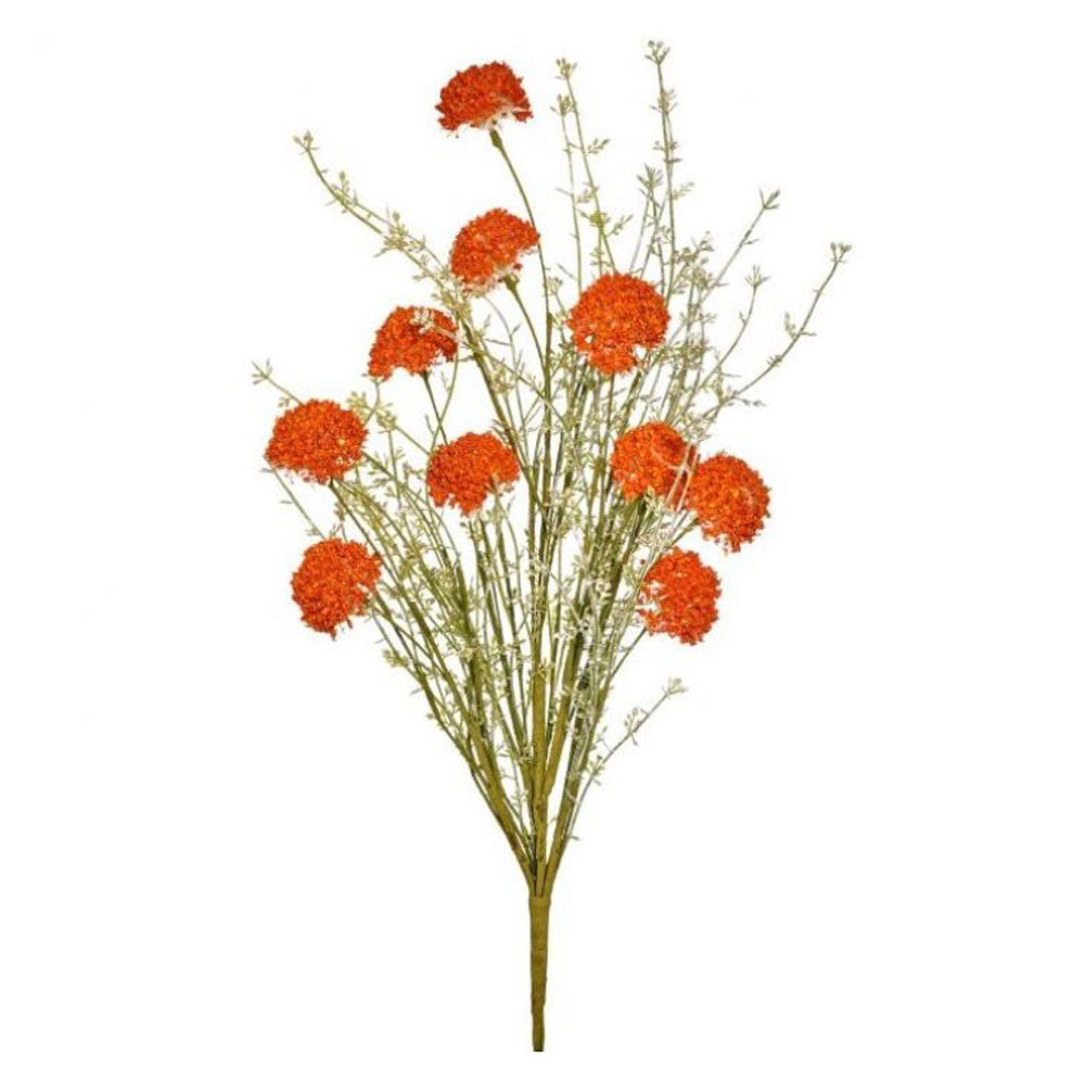 Regency, Wild Allium Bush, x10, Orange, 24"