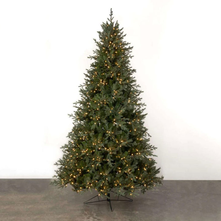 Direct Export, 9' Montauk Pine Tree, Clear