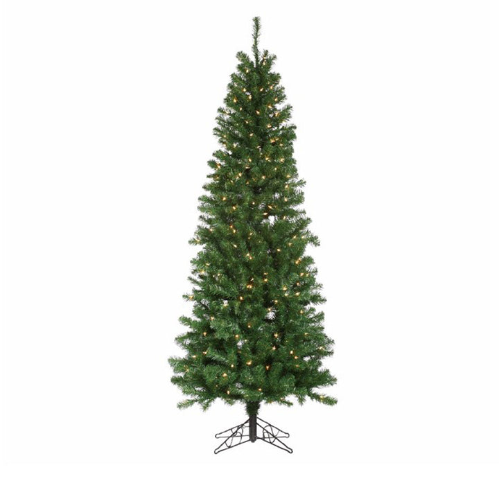 Direct Export, 6.5' Augustine Pine Tree, Clear