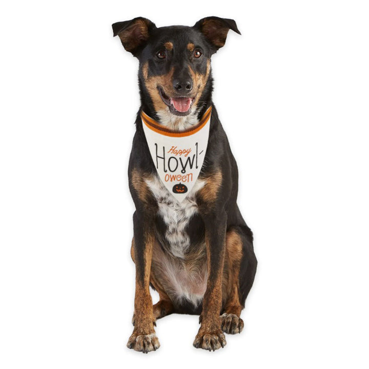 Design Imports, Howl-Oween Bandanas, Assorted and Sold Separately