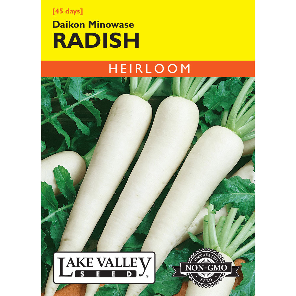 Lake Valley, Radish, Daikon Mionwase