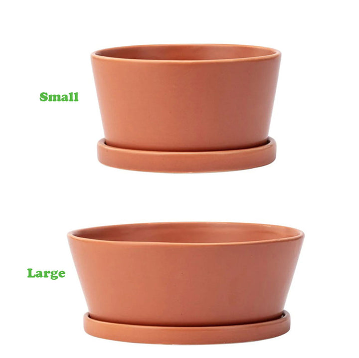 Napco, Dish Garden w/Saucer, Rust, Assorted and Sold Separately