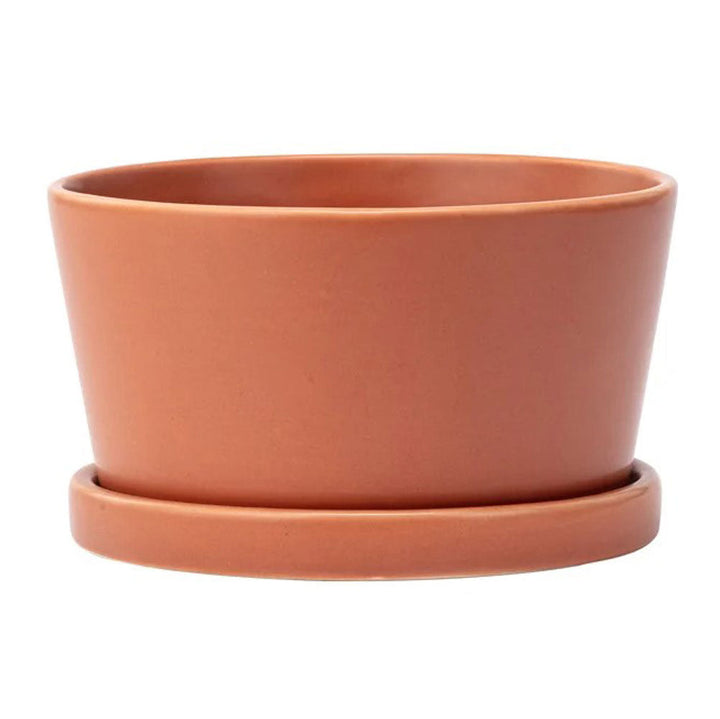 Napco, Dish Garden w/Saucer, Rust, Assorted and Sold Separately