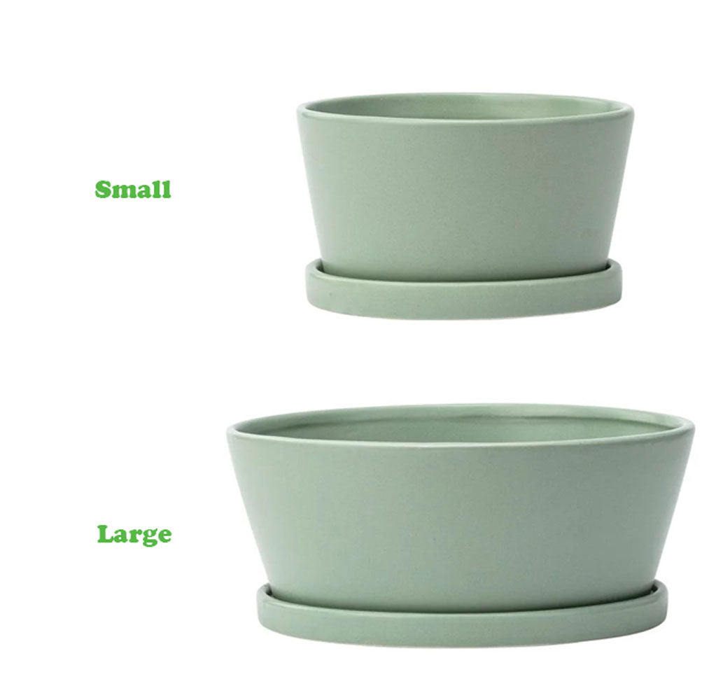 Napco, Green Dish Garden W/ Saucer, Various Sizes – Alsip Nursery