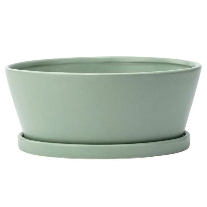 Napco, Green Dish Garden W/ Saucer, Various Sizes