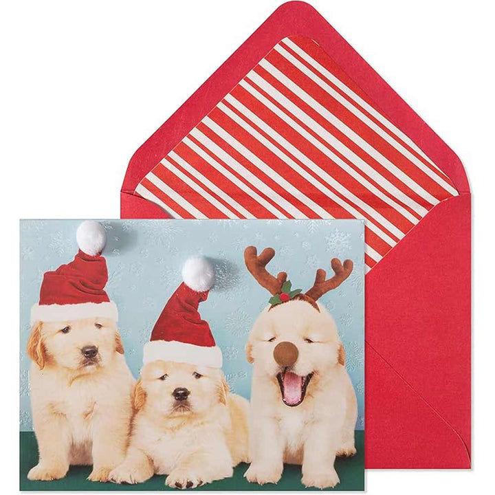 Niquea d., Photo Puppies 10 Count Set