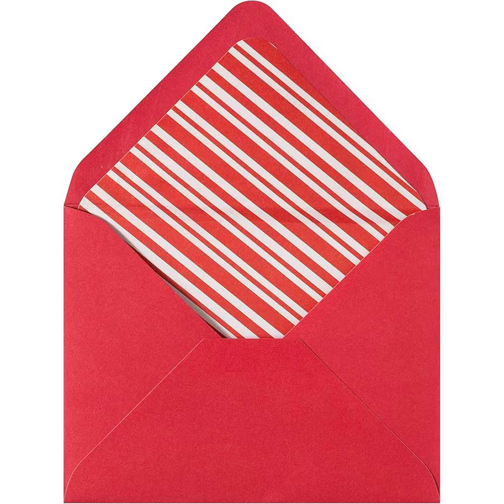 Niquea d., Photo Puppies 10 Count Set