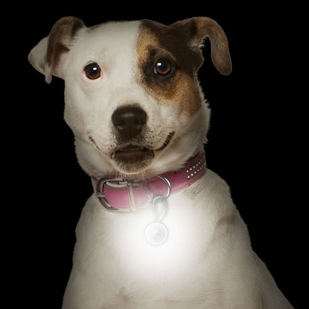 Nite Ize, Spot Lit Collar Light, White