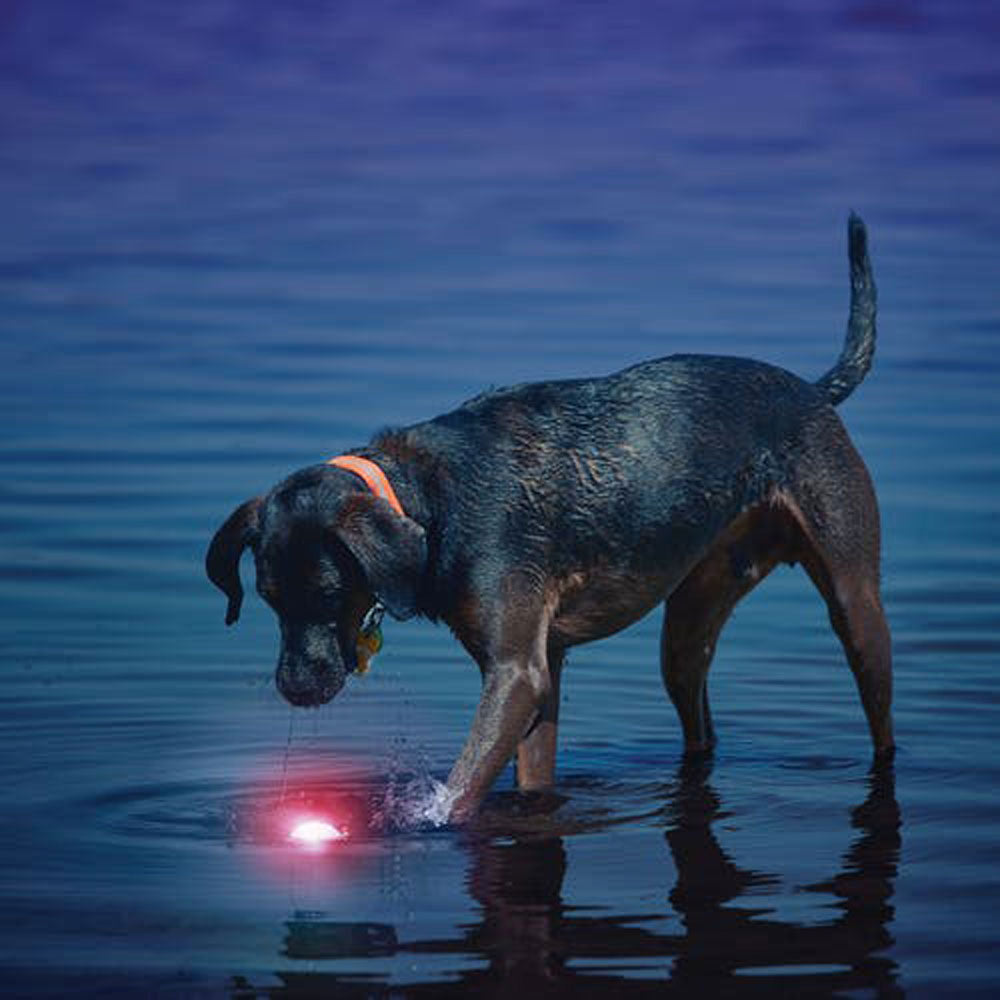 Nite Ize, Glow Streak LED Ball