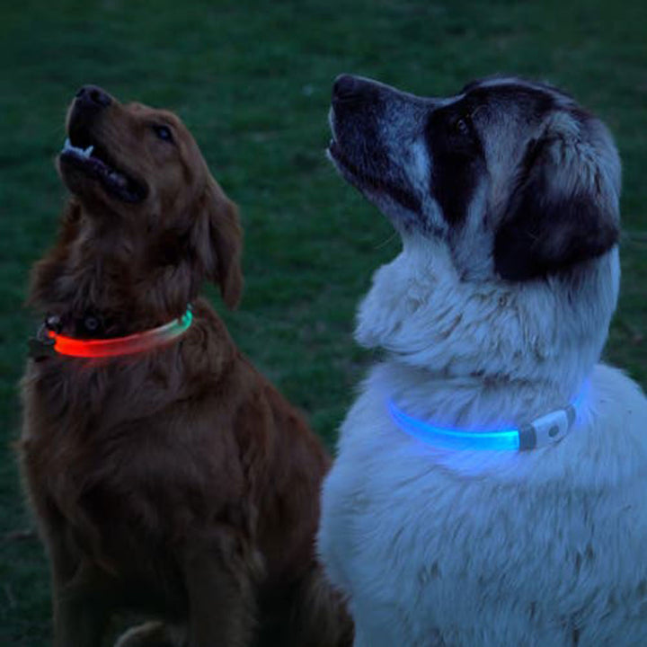 Nite Ize, NiteHowl Max Rechargeable LED Safety Necklace - Disc-O Select