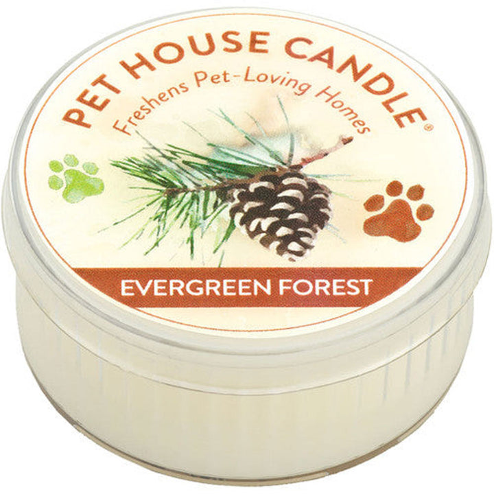 Pet House, Evergreen Candle