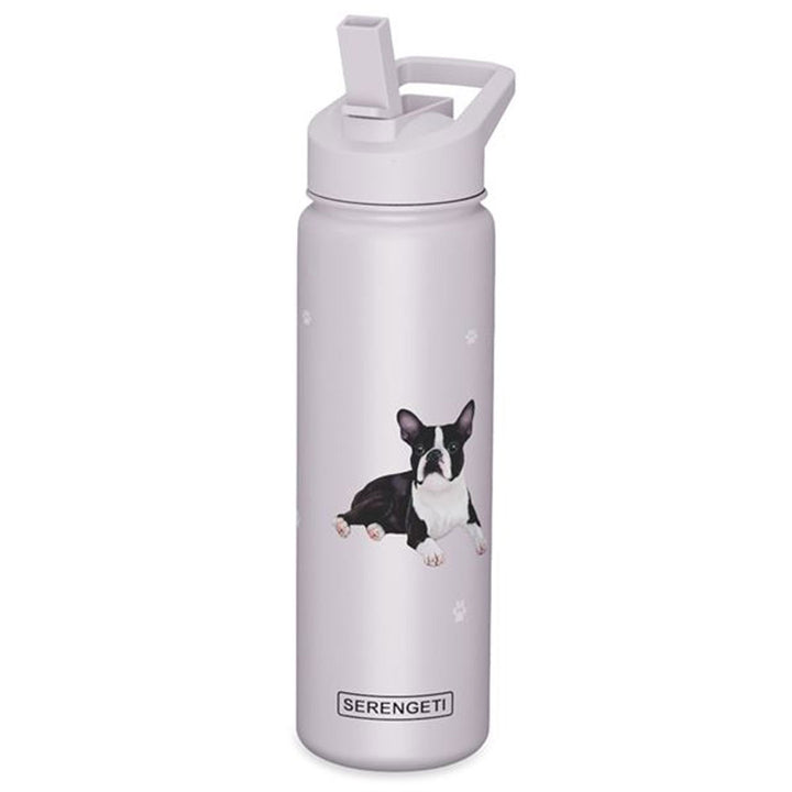 Serengeti, Boston Terrier Bottle