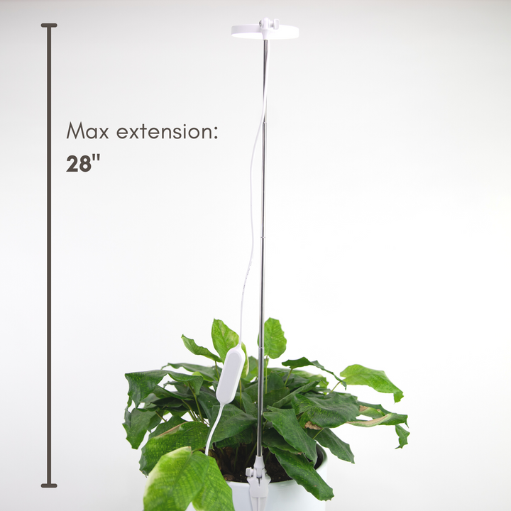 Mossify, Adjustable LED Plant Light