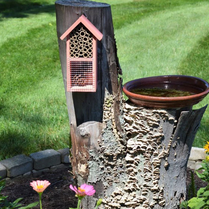 Nature's Way, 2 Chamber Insect House, Red