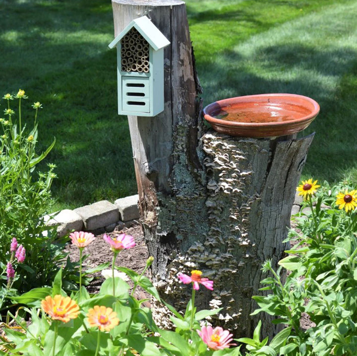 Nature's Way, 2 Chamber Insect House, Green