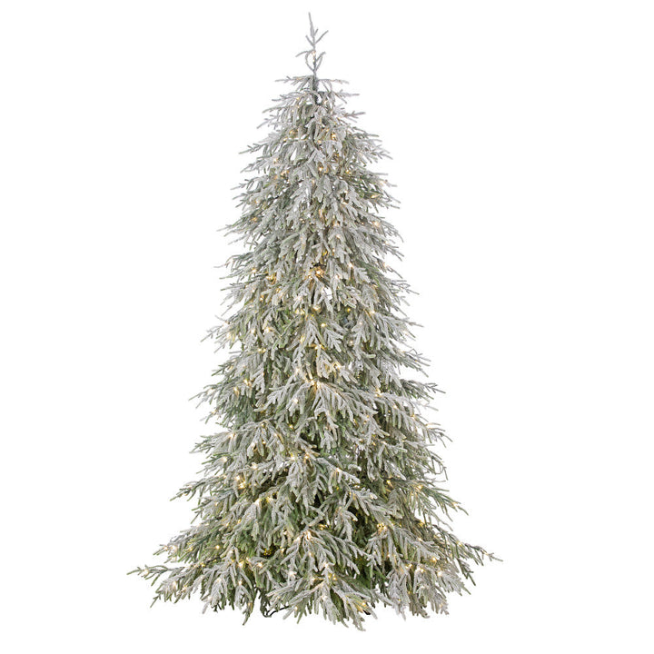 Norfolk Flock Tree Clear 7.5ft
