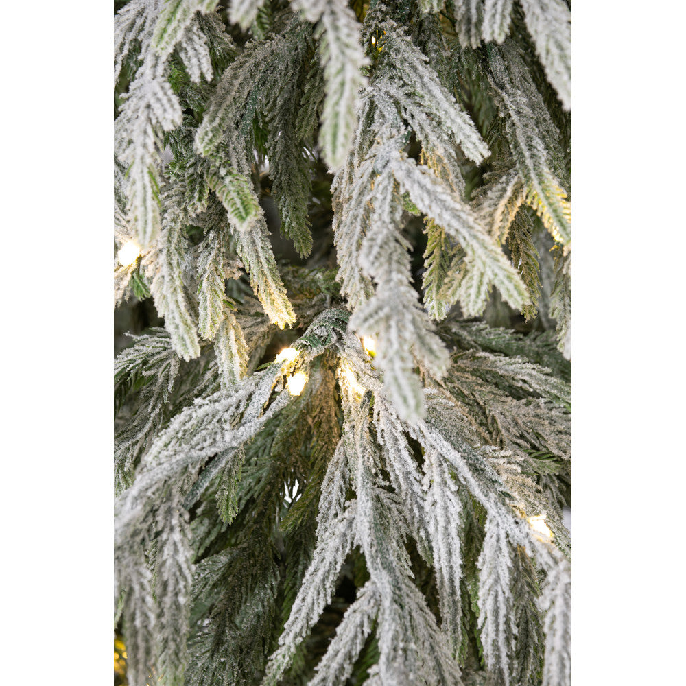 Norfolk Flock Tree Clear 7.5ft