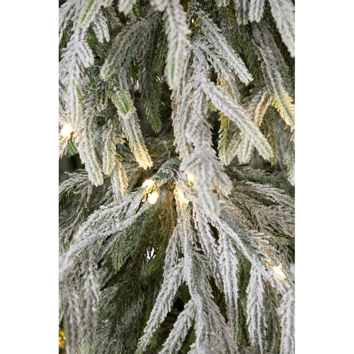 Norfolk Flock Tree Clear 7.5ft