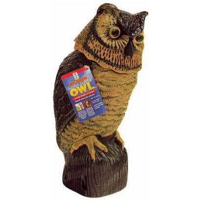 BOBBLE HEAD OWL