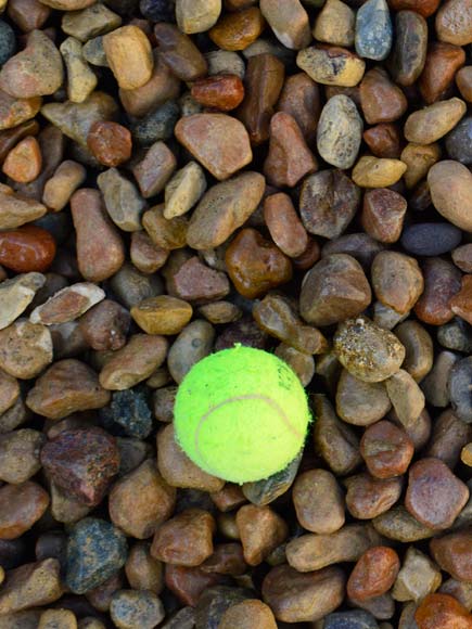 Light Large River Rock, Bulk Sold By The Ton